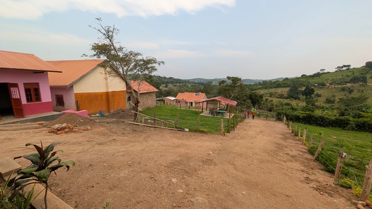 School buildings and open grounds viewed from higher ground.